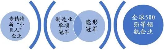 “专精特新”小巨人、制造业单项冠军和隐形冠军有什么区别?(图7) “专精特新”小巨人、制造业单项冠军和隐形冠军有什么区别?(图7)